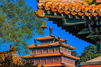 黄色app大全免费下载2023：极速狂飙，未来都市竞速新作深度体验与攻略-2