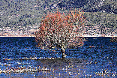 男生和女生上床软件：意识共鸣，双人神经同步解谜之旅-2