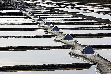 黄色软件网站下载3.0.3免费oppo版大全装扮讲解：《街头涂装大师》全新版本上线，三步打造你的专属冠军级梦幻座驾