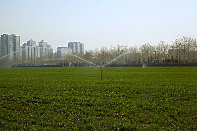 五年沉淀只做经典：《极限竞速：地平线》系列新作评测，开放世界赛车游戏的巅峰体验今日揭晓-3