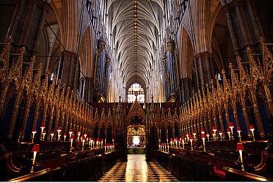 男同志与雌性zozo：机械生命与纯粹引擎的对决，极速进化开启赛道新纪元-3