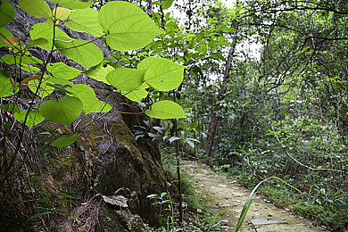 班长脱衣服：校服之下，机械之心狂飙-1