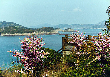 xaxuzunhayaxaxmanta：跨越锈海抵达核心，生存竞速新作《荒野引擎》颠覆汽车游戏体验-2