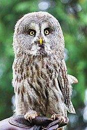 黄色软件AP：黑客与引擎交织，赛博飙车新游引爆数字极速革命