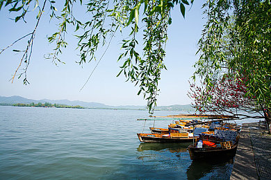 男女操逼APP：双人协作驾驶革新，赛道风云考验极致默契与配合艺术-4