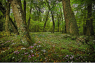 国内成人AV：极速心跳，改装风云，真实赛道上的终极竞速传说-2