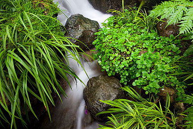 404找不到黄台：极速幻影中那条永不存在的赛道，与玩家永恒的追寻
