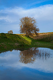 黄色软件3.0.3免费vivo版：极限竞速街头狂飙全新版本，移动端驾驶革命震撼体验-2