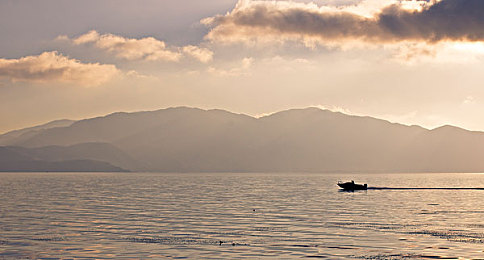 麻花传MDR国语免费版：旋速谜途，未来赛道上的智谋飞驰