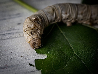 阿娇十三分钟：极限车手，霓虹都市中的赛道解构艺术-1