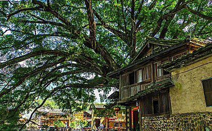 苏州ios晶体公司：极速晶体革新竞速玩法，未来赛道策略与视觉盛宴-2