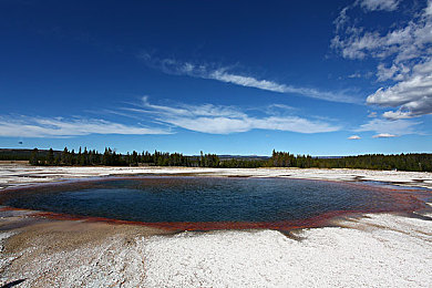 色情软件3.0：感官超载竞速，驾驭虚拟与现实的危险诱惑