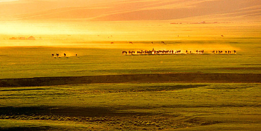 3P少妇：竞速新作今日上线，三人实时切换引爆复古街头狂飙