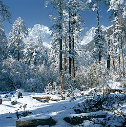 3.03免费华为版破解大全免费下载：华为设备畅玩地平线，正版竞速攻略与优化指南