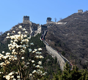 三级片HD:竞速新作今日全球上线,三级执照系统引领真实驾驶风潮-2