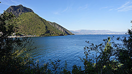 欧美大白屁股XXXOOO偷拍：霓虹都市暗影疾驰，数据扫描引爆道德争议-1