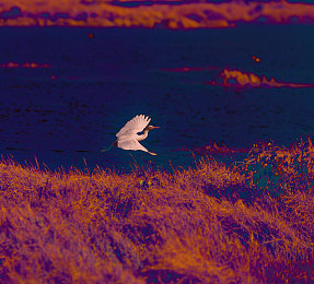 k74n cc 最新版本更新内容：极速狂飙新赛道，沉浸驾驶体验全面升级