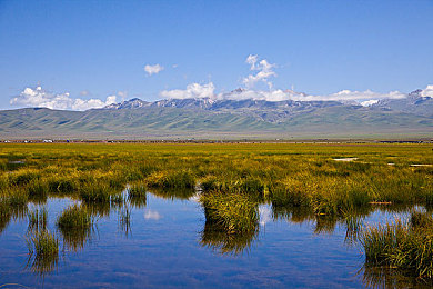 汤姆影院Tom友情提示音的使用方法：竞速新作颠覆传统，声音导航引领赛道革命今日上线-2