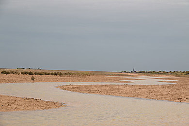 未成年禁止下载的软件:硬核赛车新作今日上线,真实物理与成人叙事重塑竞速边界-1
