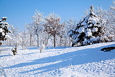 男同做爱网站：双心共驭，极速同步的默契竞速之旅-2