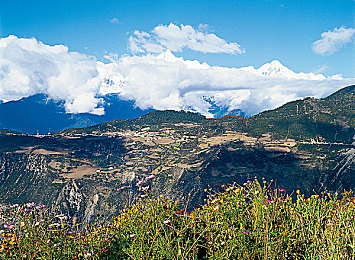 男女做差软件大全:极速世界新玩法,双性特质赛道策略揭秘-2