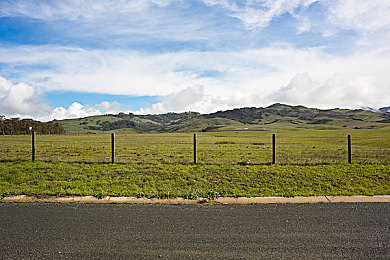 十大黄色应用:竞速新作极速黄潮发布,十大主题赛道点燃驾驶激情-2