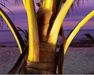 国产Av黄色：华夏极速，光影飞驰的东方竞速诗篇-2