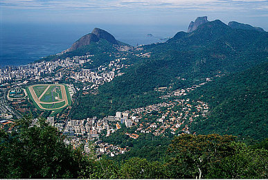 男人靠女人软件:借力搭档与智能系统,在宿敌赛道实现刚柔并济的胜利-2