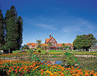 火辣辣APP福利导航：极速纪元涡轮重启，智能导航引领拟真驾驶新纪元-2