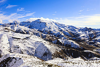 一区二区三区四区精华：征服全地形赛道，地平线驾驶艺术终极指南-1