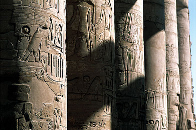 在床上做 拔萝卜：虚拟农场疗愈心灵，卧床耕耘收获温情-3