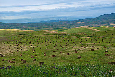 亚洲欧美日韩国产：轰鸣的钢铁诗篇，全球车魂共驰虚拟地平线-2