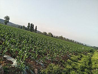 中国体育男同性恋：极速竞技场荣耀之征上线，勇气支线展现赛场内外真实挑战-2