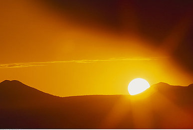 火影忍者18加手游：成人向忍者世界开启，心理战术与暗黑剧情重塑经典IP-2