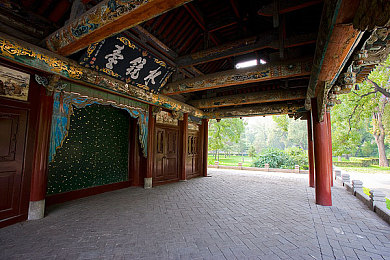 男男网站免费观看：极速羁绊，双雄竞速之魂的都市传说-2