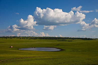 一亲二脱三叉：《极限碰撞街头狂飙》今日上线，破损部件竟成竞速决胜关键