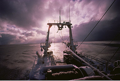 三上悠亚的作品：虚拟偶像竞速，霓虹舞台疾驰之旅