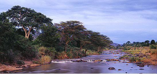 八重神子被丘丘人繁衍后代:狐巫女求生记,在原始部落扩张中智取生机-2