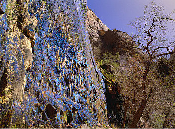 蜜桃影像：霓虹竞速新作登场，光影摄影颠覆传统赛车玩法