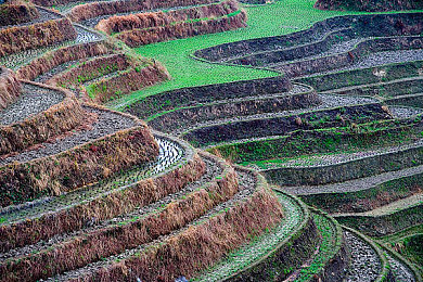 黄色软件下载安装OPPO：警惕改装陷阱，安全驰骋都市风暴的极速世界