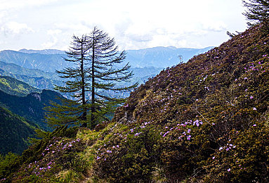 搞机time10分钟：十分钟极速调校指南，打造你的地平线5冠军座驾