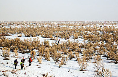 91黑网：暗夜疾驰，加密网络中的道德竞速迷局-2