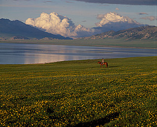 manta uzunhaya：深海骑手与机械巨鳐的共生竞速之旅