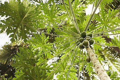 狼人综干：极速谜局，暗影赛道上的谎言与竞速生死博弈-2