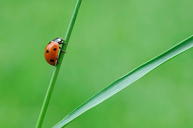 黄色站址：征服墨西哥黄金赛道，极限竞速地平线5专业攻略全解析-2