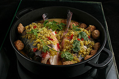 成色版抖音91免费：极速剪辑街头车神，零成本改装引爆社交赛道