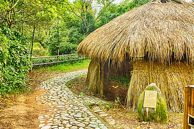 亚洲区二区三区：征服东方弯道与雨林，极限竞速地平线亚洲赛道全攻略-1