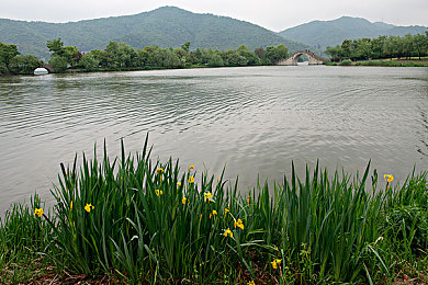 男人和女人一起差差差App：双人协同驾驶竞速游戏极速搭档深度解析-2