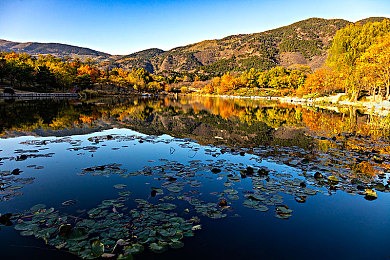 男女差差差差差差差：极速地平线新DLC引热议，驾驶算法真实模拟性别驾驶差异