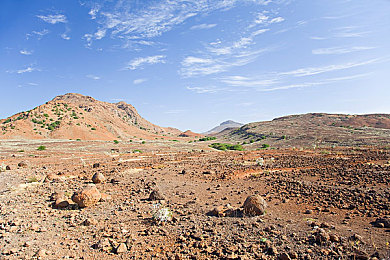 女生不穿内裤软件：代码剥离者,在极速与失控边缘的赛博狂飙-2